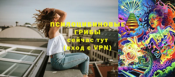 кристаллы Гусев