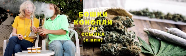PSILOCYBIN Гусиноозёрск