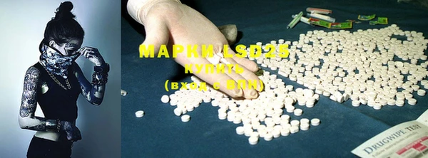 PSILOCYBIN Гусиноозёрск